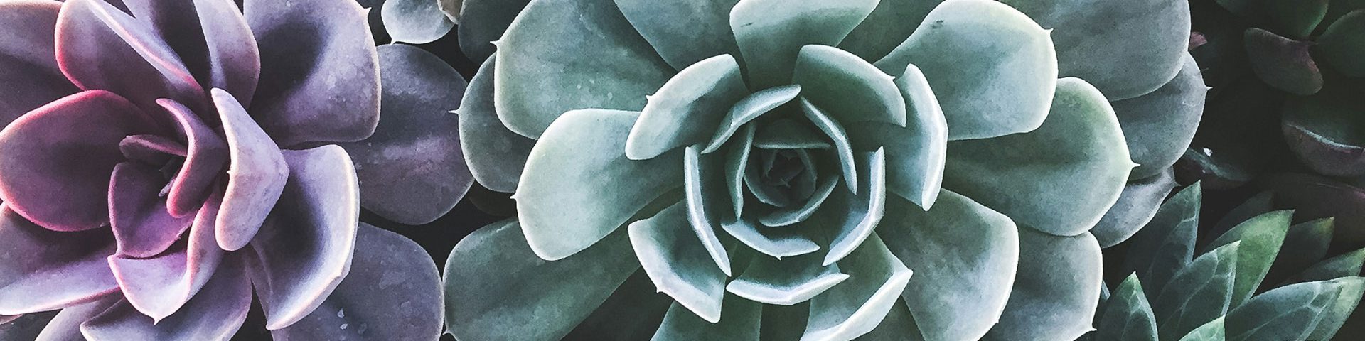 This is a the main heading